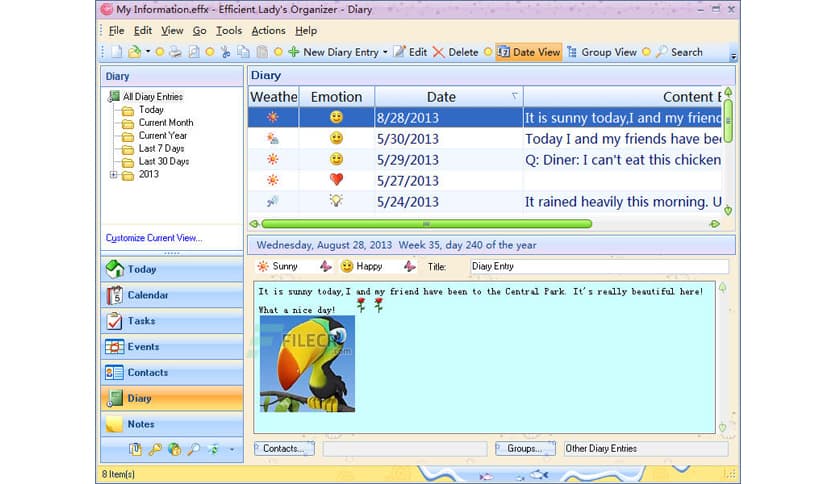 Efficient Ladys Organizer 5.60 Build 559