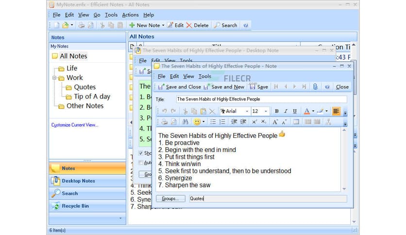 Efficient Notes 5.60 Build 559