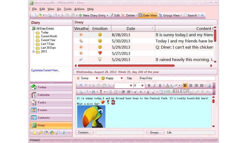 EfficientPIM Pro 5.60 Build 559