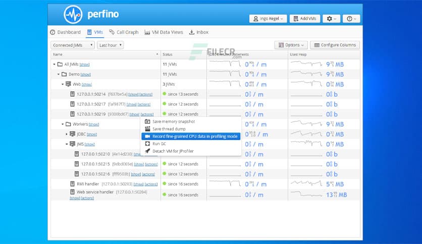 EJ Technologies Perfino 4.2