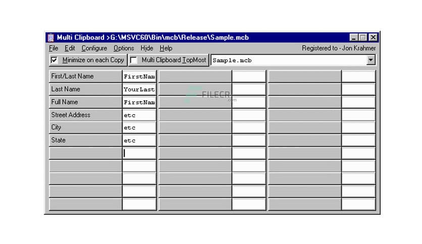 ElectraSoft Multi Clipboard 25.10.31
