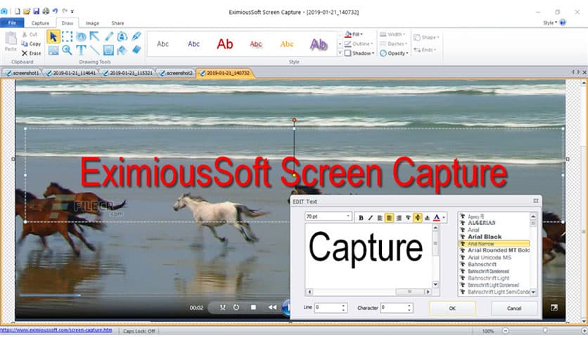EximiousSoft Screen Capture 2.20