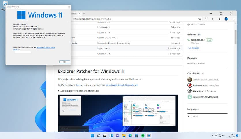 ExplorerPatcher 26100.4946.69.6