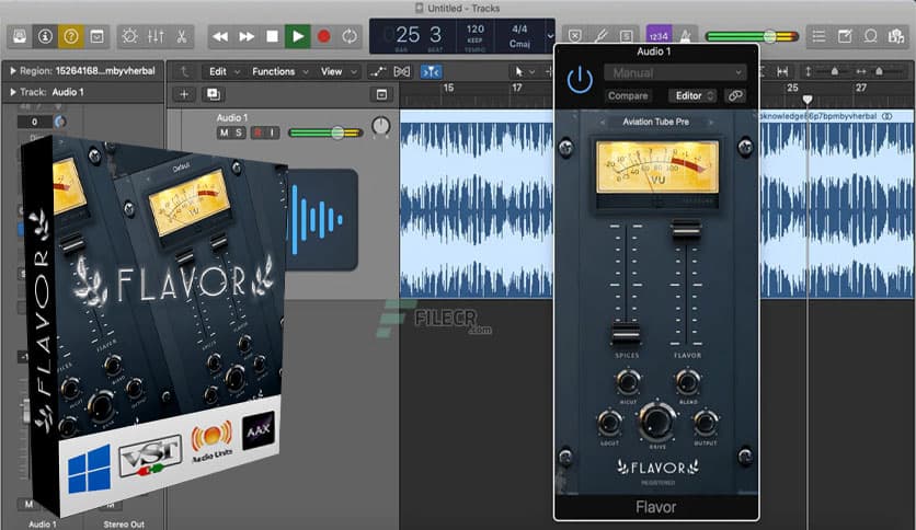 Fat Sound Records Flavor v1.03