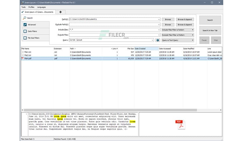 FileSeek Pro 7.1