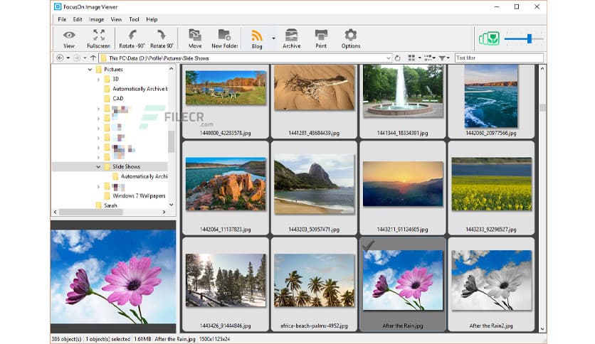 FocusOn Image Viewer 1.32