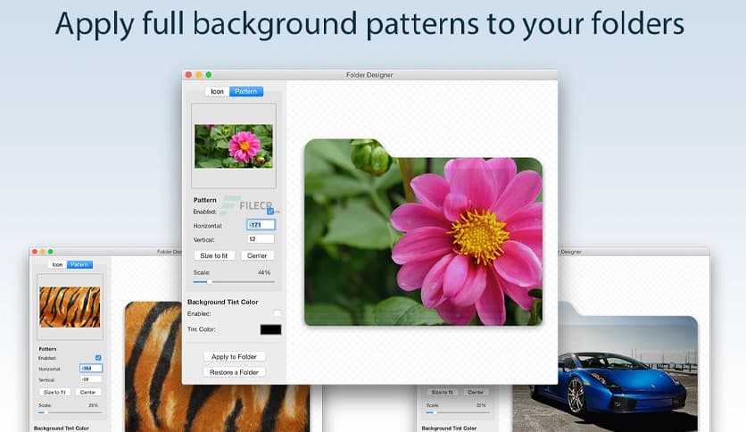 FIPLab Folder Designer 2.6