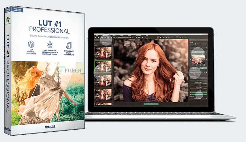 Franzis LUT #2 professional 2.25.03871