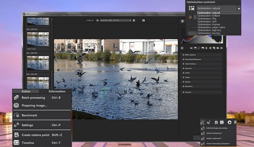 Franzis NEAT #4 professional 4.23.04017