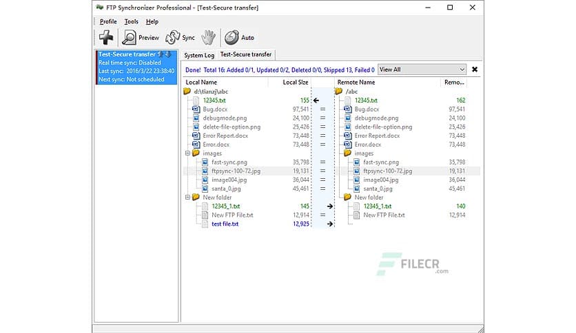 FTP Synchronizer Professional 8.1.30.1393