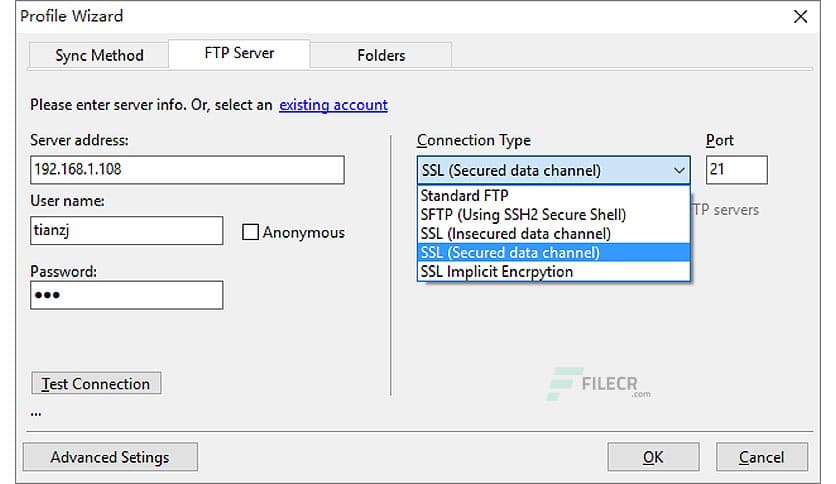 FTP Synchronizer Professional 8.1.30.1393