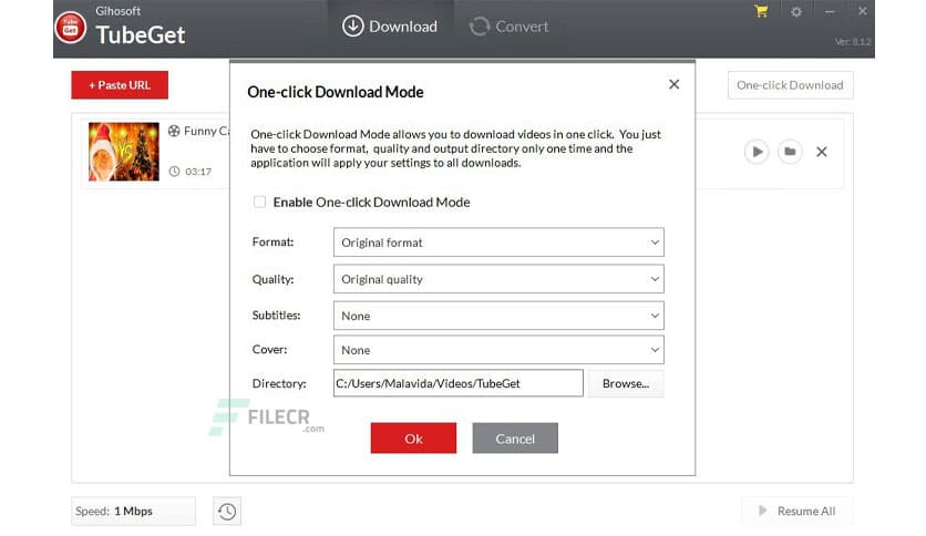 Gihosoft TubeGet Pro 9.2.72
