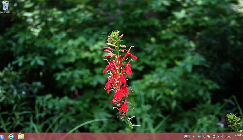 goScreen Corporate 21.0.0.1099