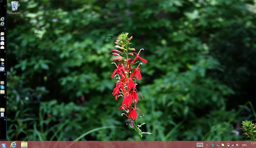 goScreen Corporate 21.0.0.1099