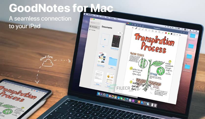 GoodNotes 5.9.4