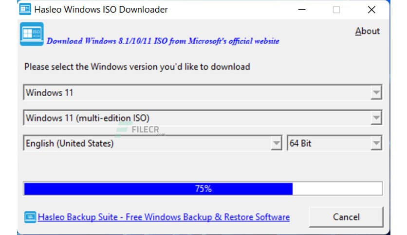 Hasleo Windows ISO Downloader 2.4