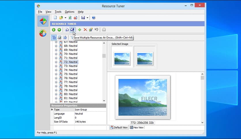 Heaventools Resource Tuner 2.23