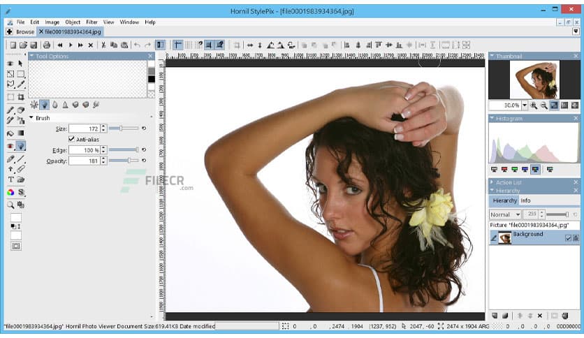 Hornil StylePix Pro 2.0.3.0