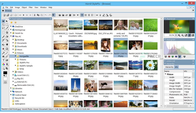 Hornil StylePix Pro 2.0.3.0
