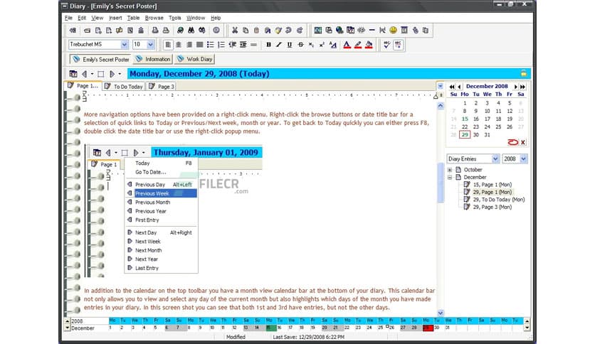 iDailyDiary Professional 4.32