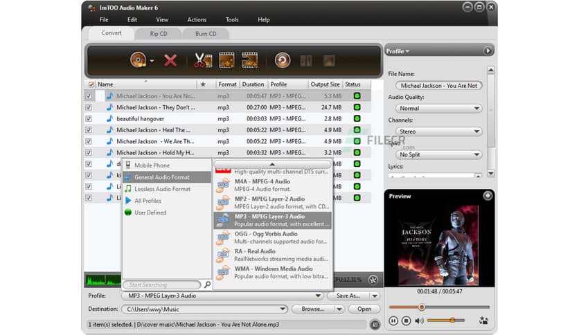ImTOO Audio Maker 6.5.1 Build 20200719