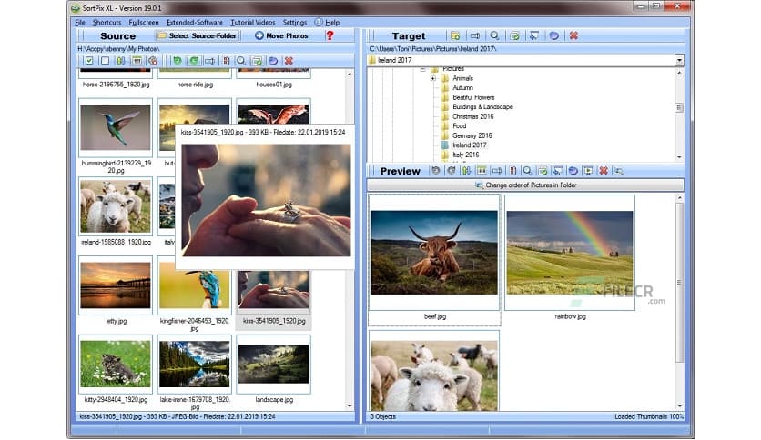 IN MEDIA KG SortPix XL 26.0.0
