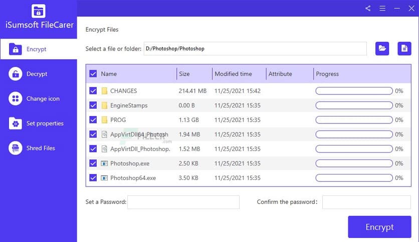 iSumsoft FileCarer 3.1.0.4