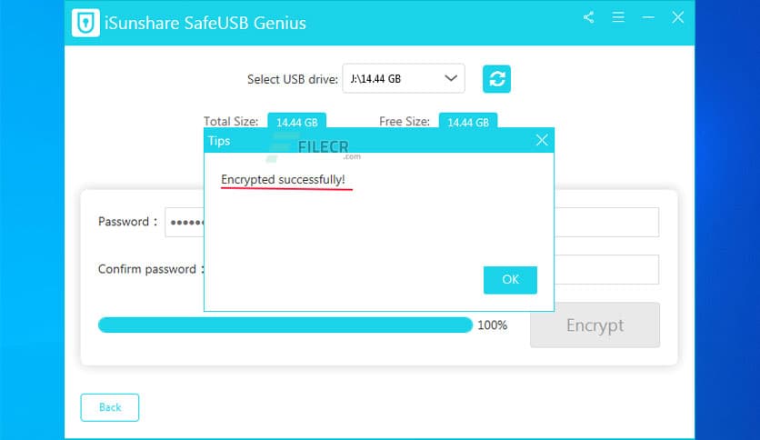 iSunshare SafeUSB Genius 3.1.8.6