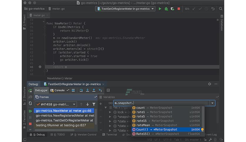 JetBrains GoLand 2024.2.2.1