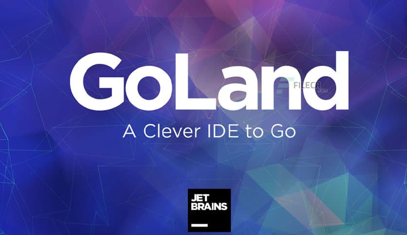 JetBrains GoLand 2025.2.2