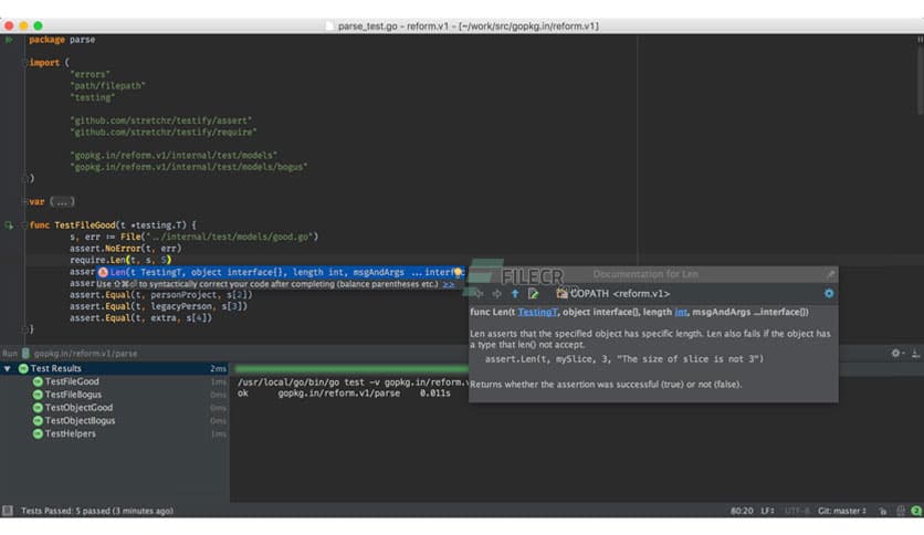 JetBrains GoLand 2025.2.2