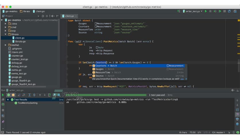 JetBrains GoLand 2025.2.2