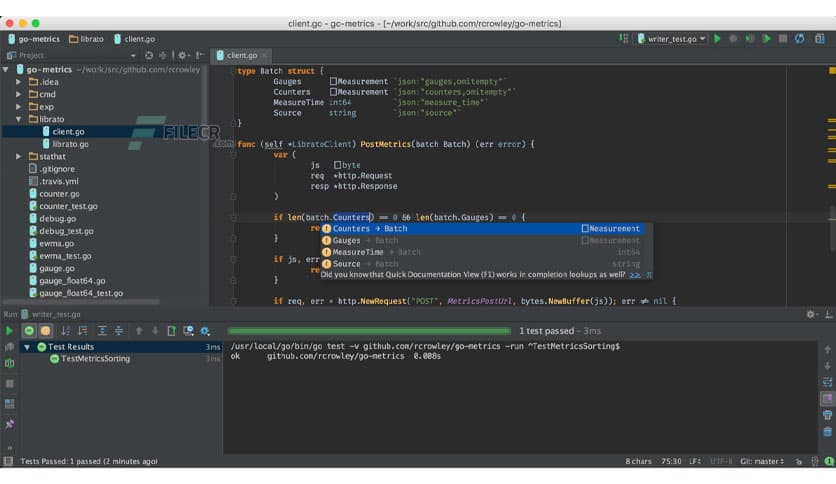 JetBrains GoLand 2025.2.2