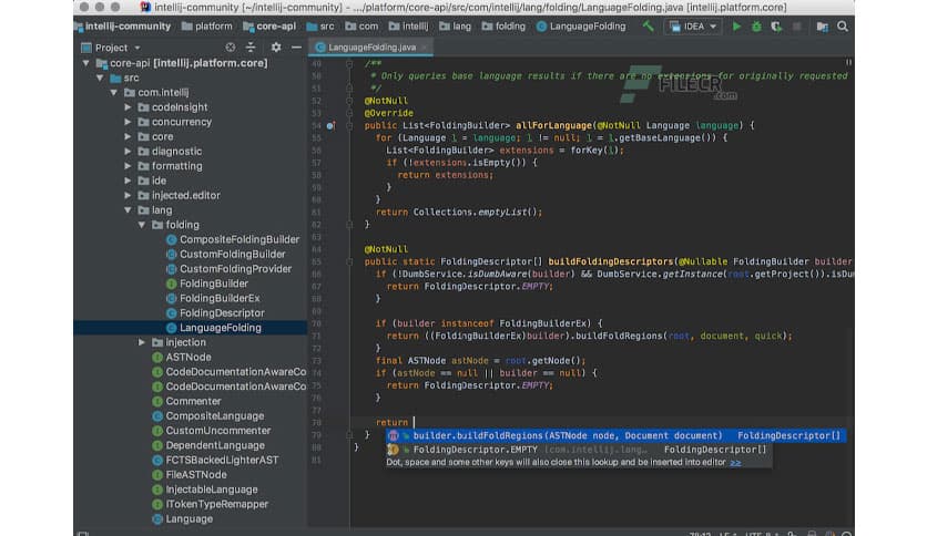 JetBrains IntelliJ IDEA 2025.1 Ultimate