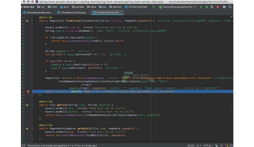 JetBrains IntelliJ IDEA 2025.1 Ultimate