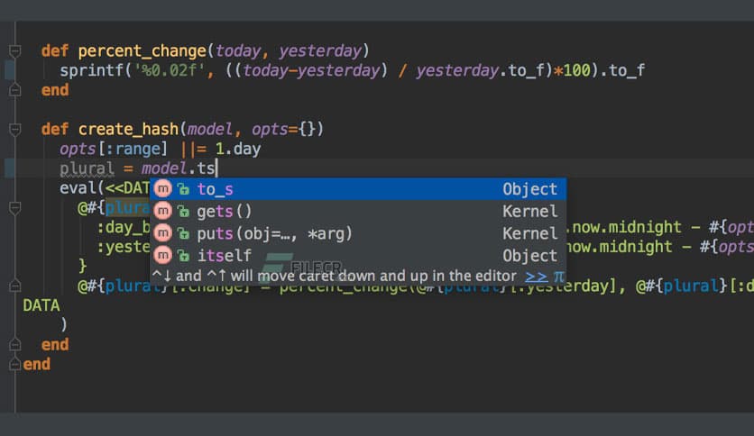 JetBrains RubyMine 2024.2.2