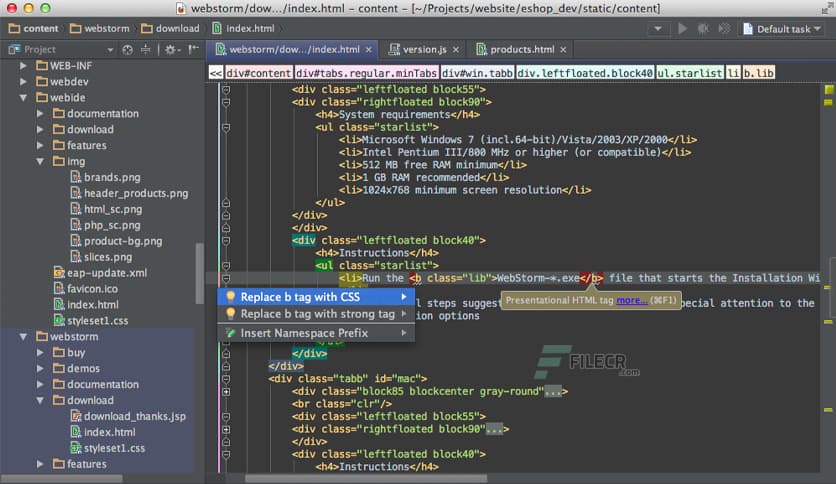 JetBrains WebStorm 2025.2.1