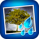 JixiPix Rainy Daze 1.23