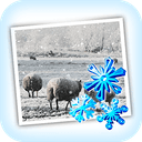 JixiPix Snow Daze 1.27