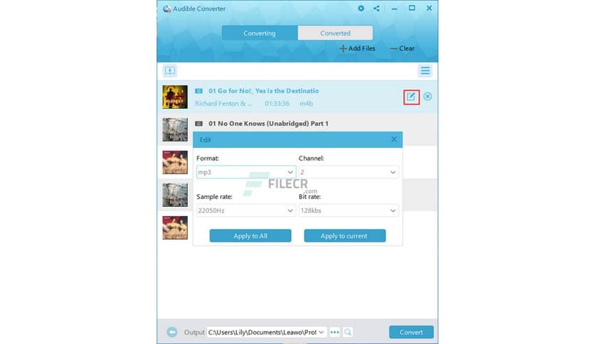 Leawo Prof. DRM 3.1.1.0
