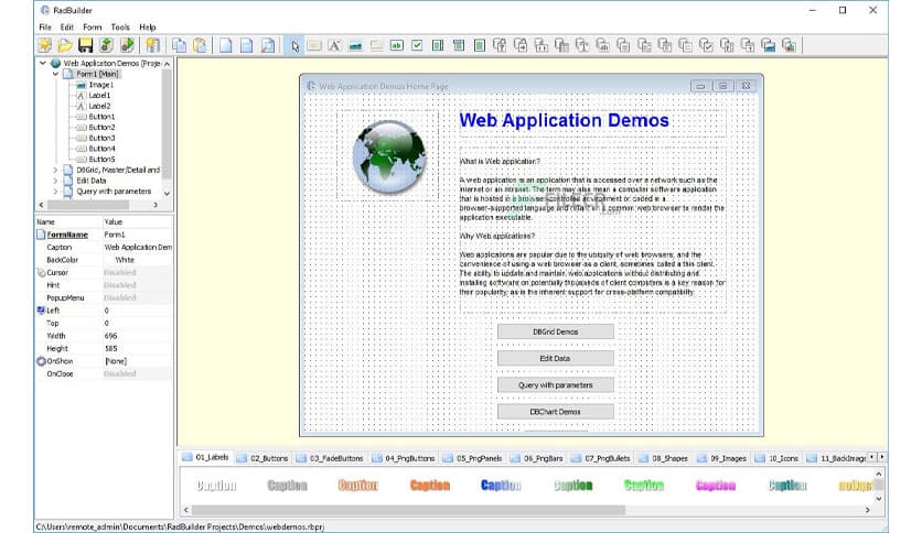 Longtion RadBuilder 4.9.0.490