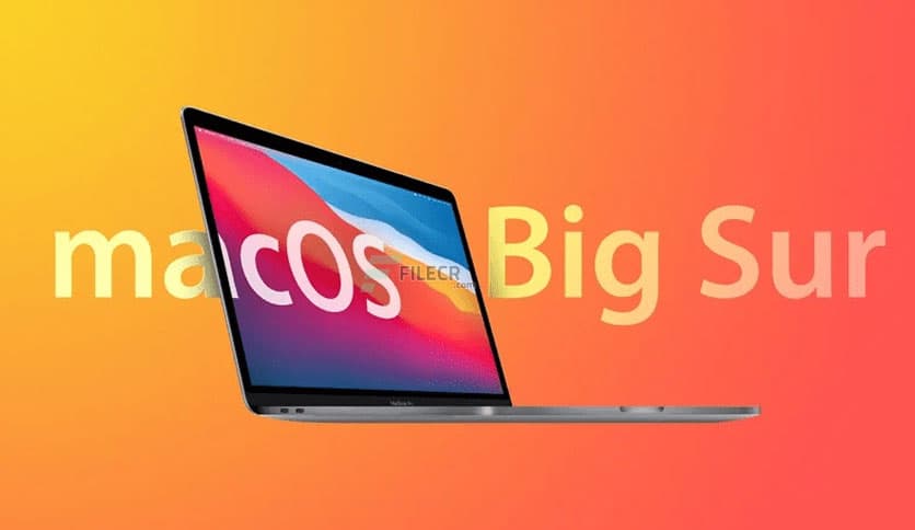 macOS Big Sur 11.6 for VMware