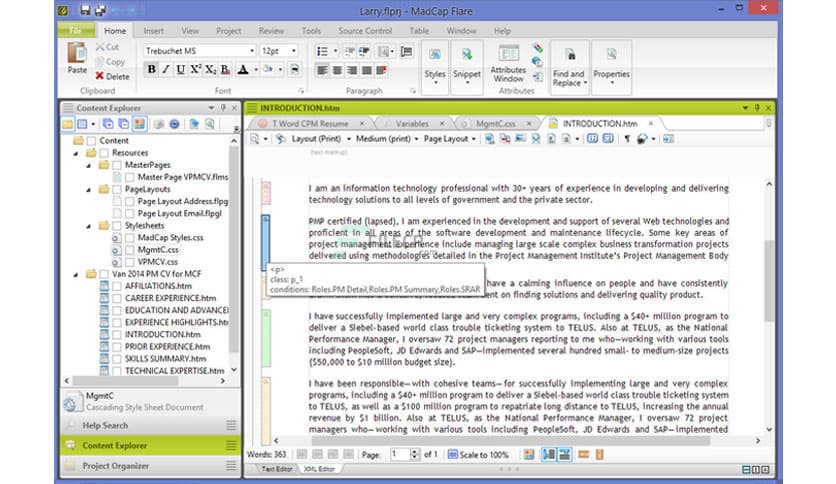 MadCap Flare 2025 R2 v21.1.9396.41248