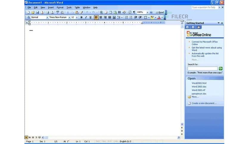 Microsoft Office 2003 Professional