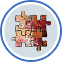 Mosaizer XVi 16.0.1.8