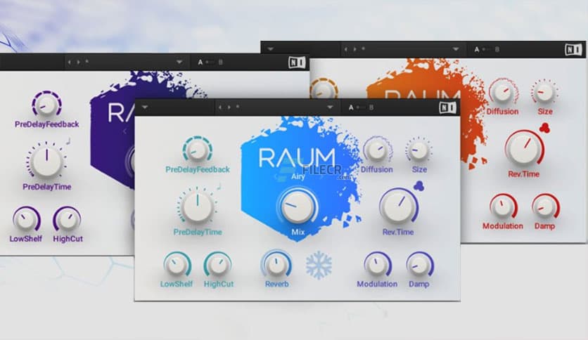 Native Instruments Raum v1.3.0