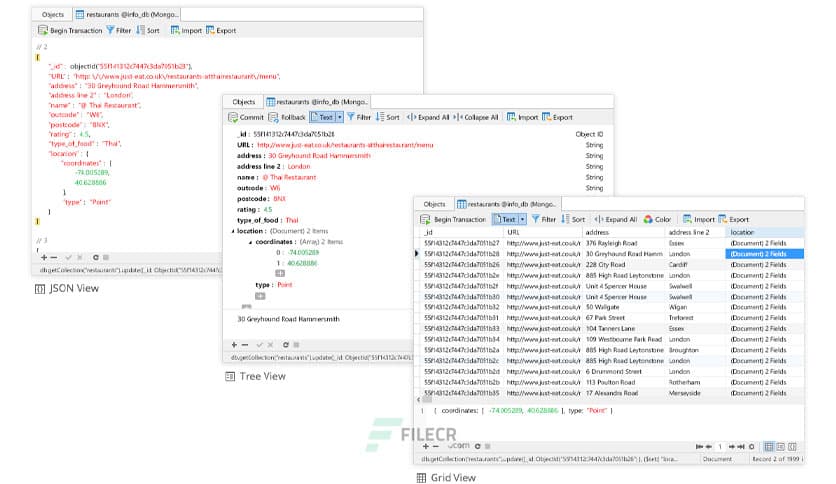 Navicat Essentials Premium 16.1.15