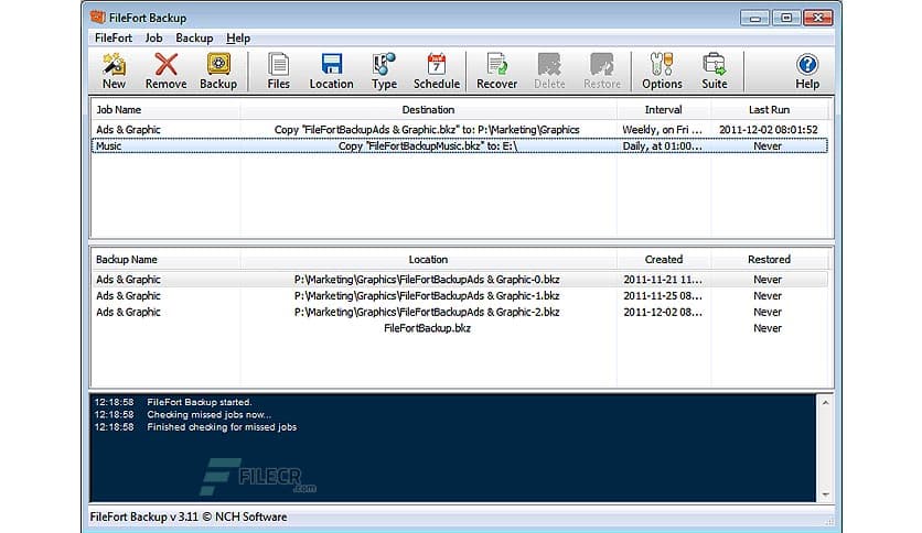 NCH FileFort Backup Plus 3.31