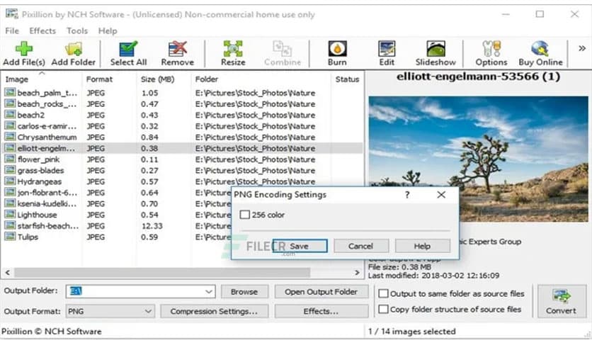 NCH Pixillion Image Converter Plus 13.02