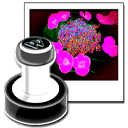 Neonway WhatAMark 1.4